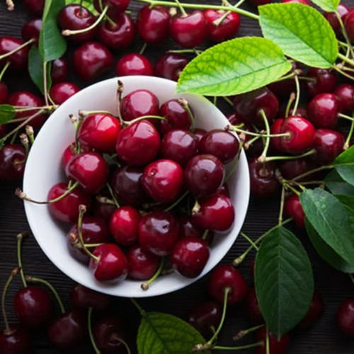 🍒Rainier Cherry Fruit Seeds Pcs -  10 Seeds