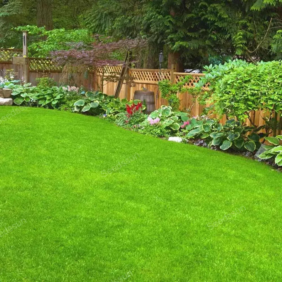 Grass & Lawn
