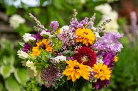 Flowering Beauties