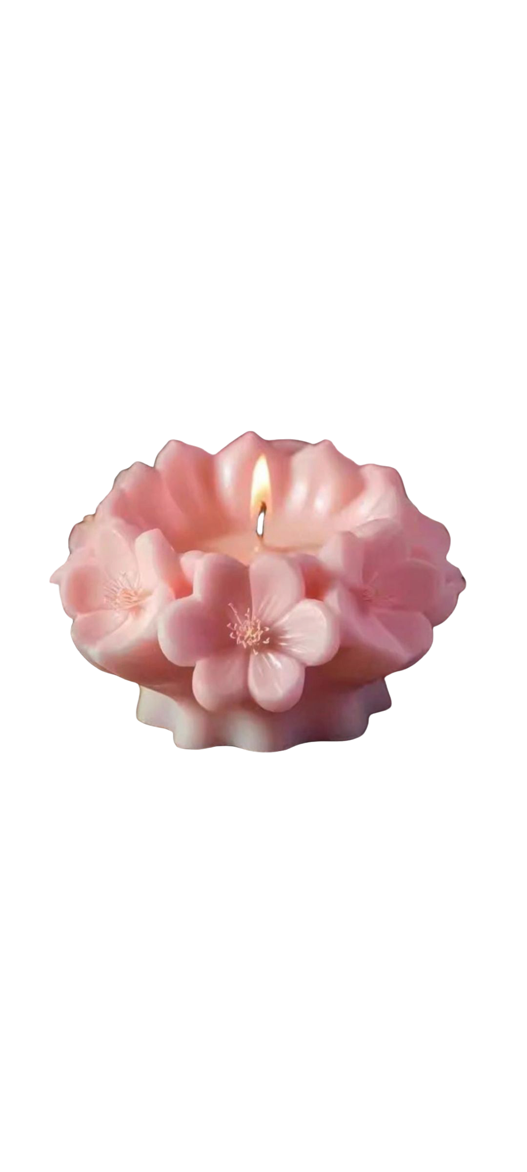 Cherry 🌸 blossom candle