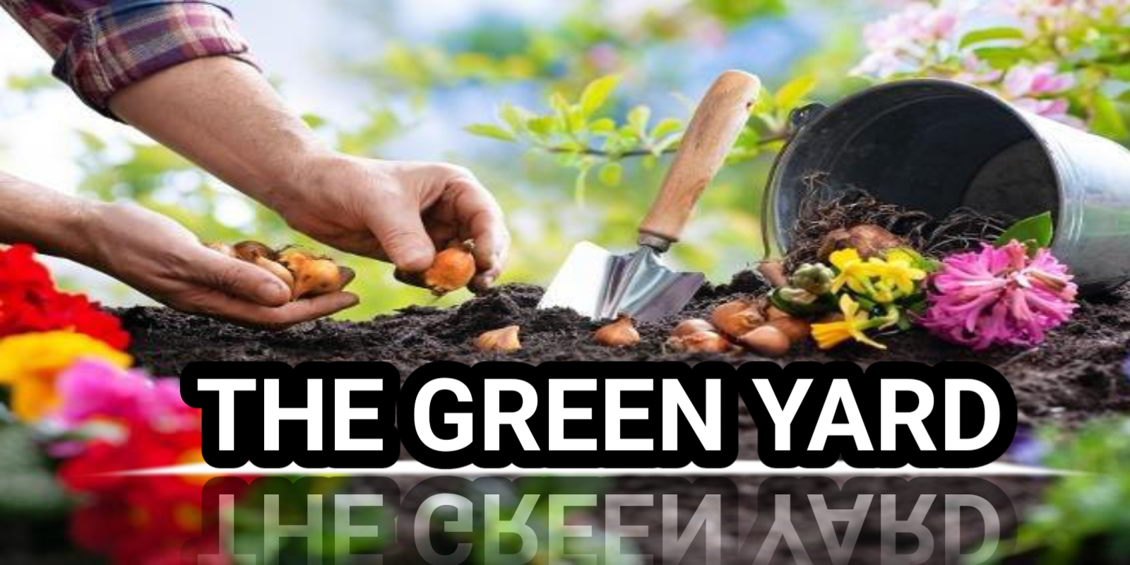 The Green Yard